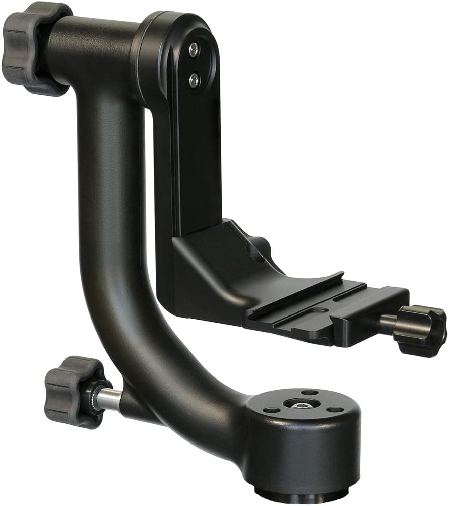 前志芸男 輪島塗 沈金 桐 中棗 茶道具 茶器 的々斉 永田宗伴書付